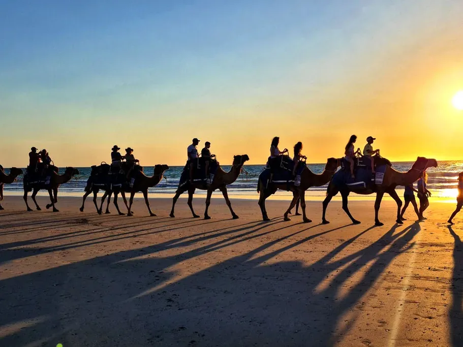 Camel ride on Diabat beach