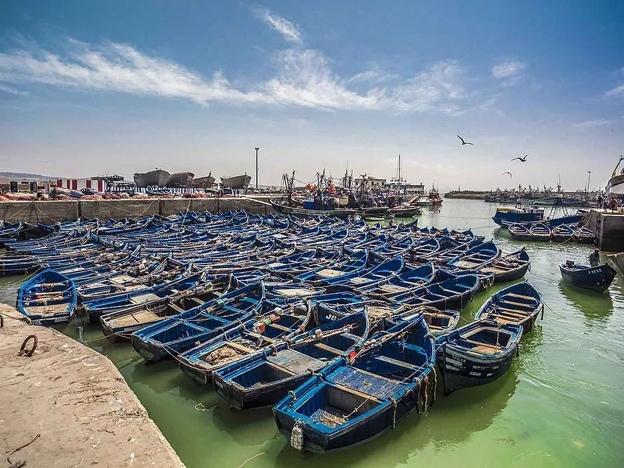 Fishing harbour & blue boats