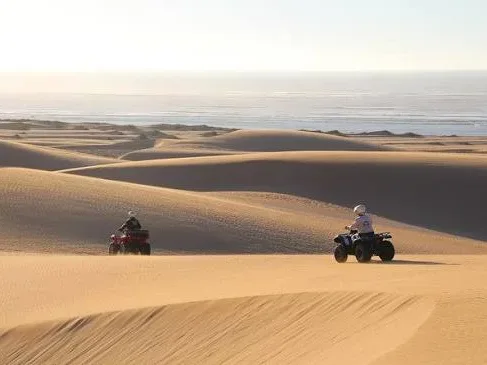 Quad biking in the dunes & forest